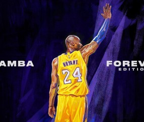 关于milan.com的平台核心功能功能介绍